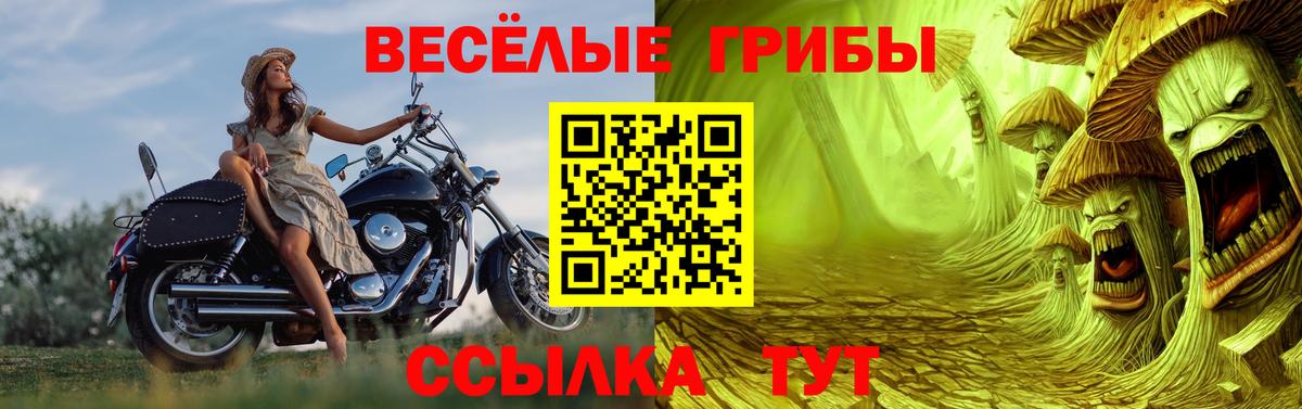 Галлюциногенные грибы MAGIC MUSHROOMS  как найти наркотики  Когалым  Вход с VPN 